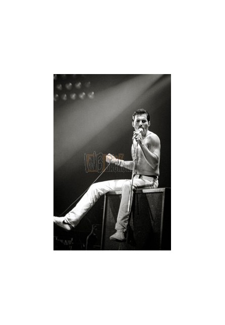 Freddie Mercury (Queen)