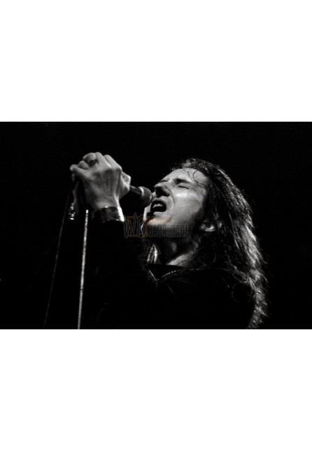 David Coverdale (Whitesnake)