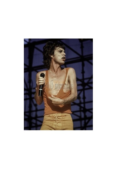 The Rolling Stones (Mick Jagger)