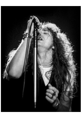 David Coverdale (Whitesnake)