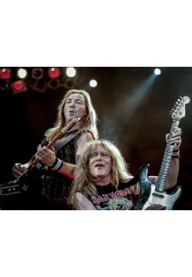 Iron Maiden (Dave Murray & Janick Gers)