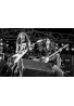 Metallica (James Hetfield & Cliff Burton)