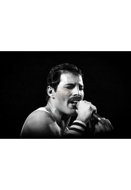 Queen (Freddie Mercury)