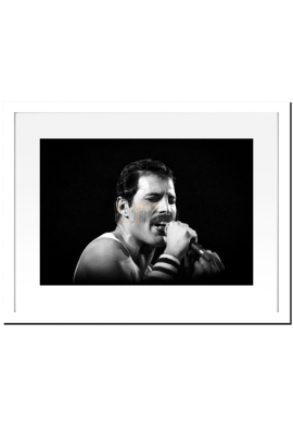 Queen (Freddie Mercury)