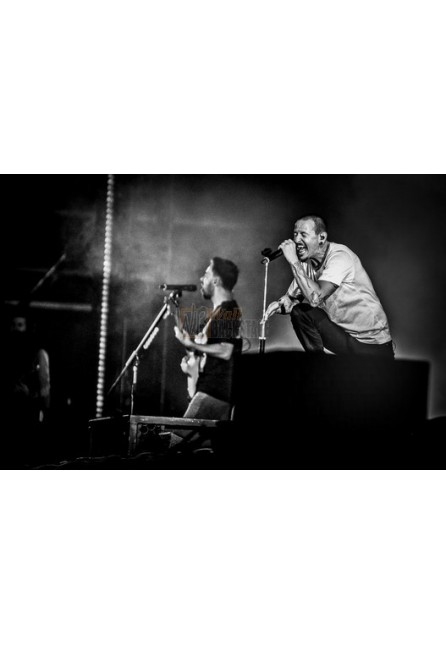 Chester Bennington (Linkin Park)
