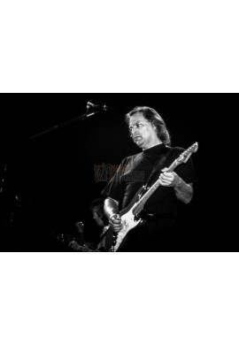 Pink Floyd (David Gilmour)